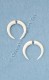 PIERCING FINTO, FATTO DI OSSO,ROTONDO, DIAMETRO 2,