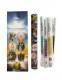 INCENSO&nbsp; DARSHAN &nbsp;FRAGRANZA SEVEN ARCHANGELS BUS