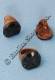 ANELLO TONDO IN LEGNO E CORNO NERO.DISPONIBI