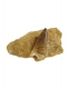 FOSSILE DENTE DI MOSASAURO PROVENIENZA MAROCCO , P