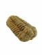 FOSSILE DI TRILOBITE FLEXICALYMENE OUZREGUI ORDOVI