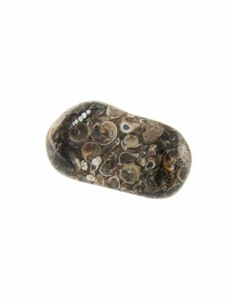 PIETRA&nbsp;BURATTATA - DIASPRO TURITELLAMISURA C