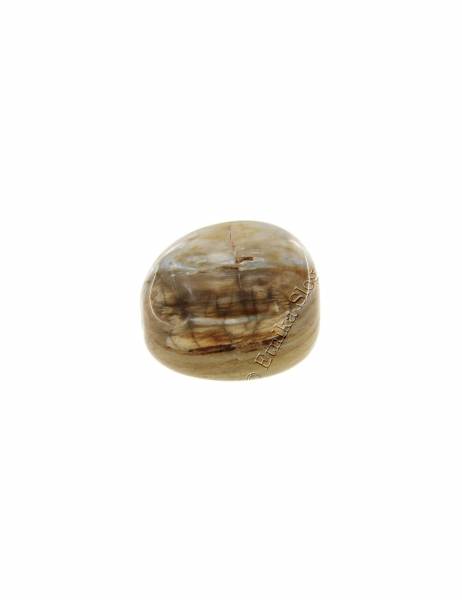 PIETRA BURATTATA -&nbsp;LEGNO PIETRIFICATOMISURA