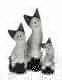 SET 3 GATTI IN LEGNO DECORATO.MISURA CM CA 1