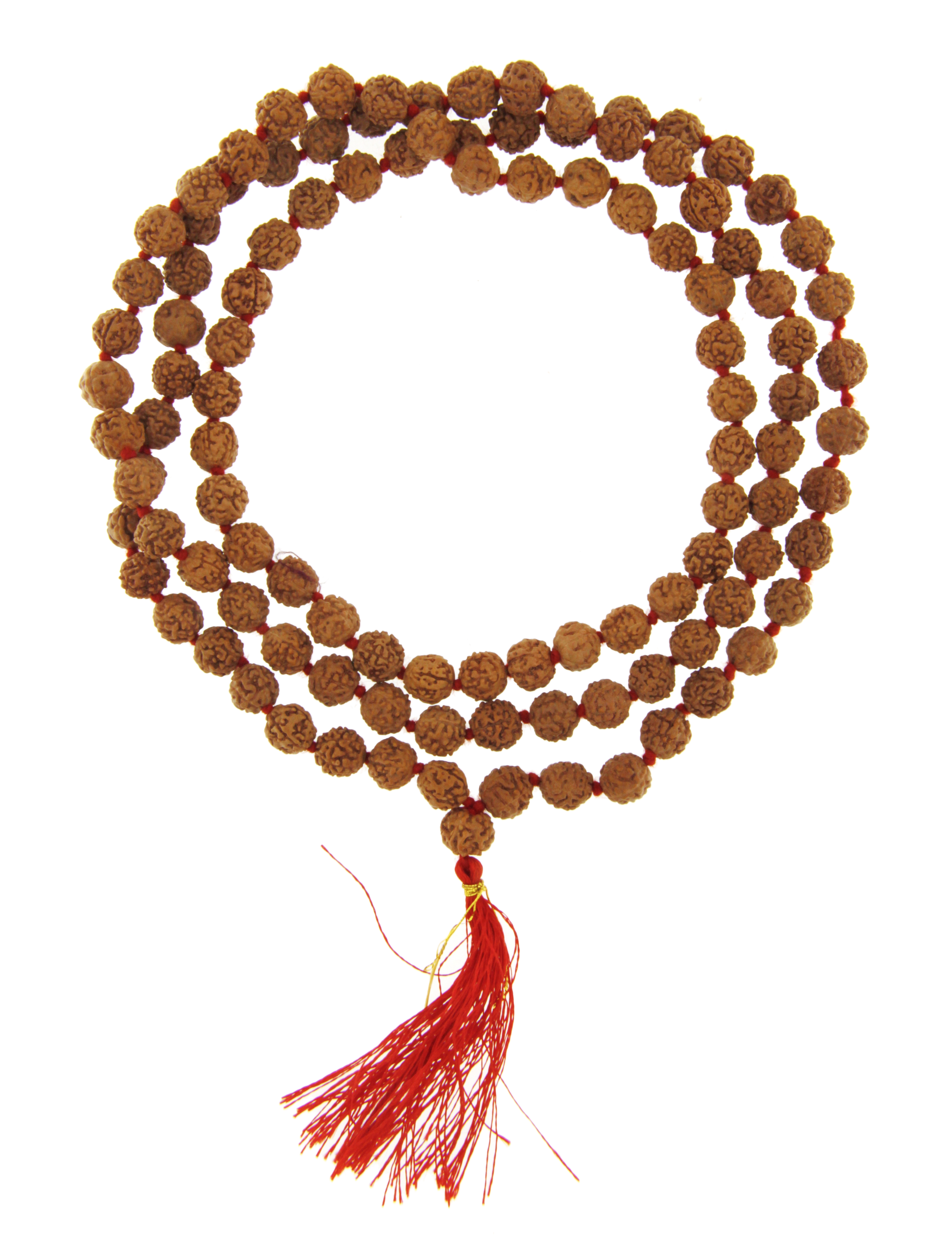 COLLANE MALA TIBETANE COLLANA MALA SEMI DI RUDRA RUDRAKSHA CIRCA MM 9 . - com Etnika Slog d.o.o. COLLANE MALA TIBETANE COLLANA MALA SEMI DI RUDRA RUDRAKSHA CIRCA MM 9 . - com Etnika Slog d.o.o.