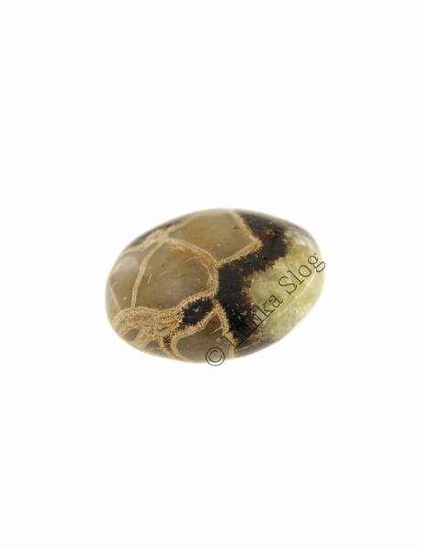 PIETRA&nbsp;BURATTATA -&nbsp;SEPTARIA&nbsp;CON NASTRO ZAMBIAbr /