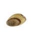 PIETRA PIATTA BURATTATA PALM STONE -&nbsp;SEPTARIAbr /